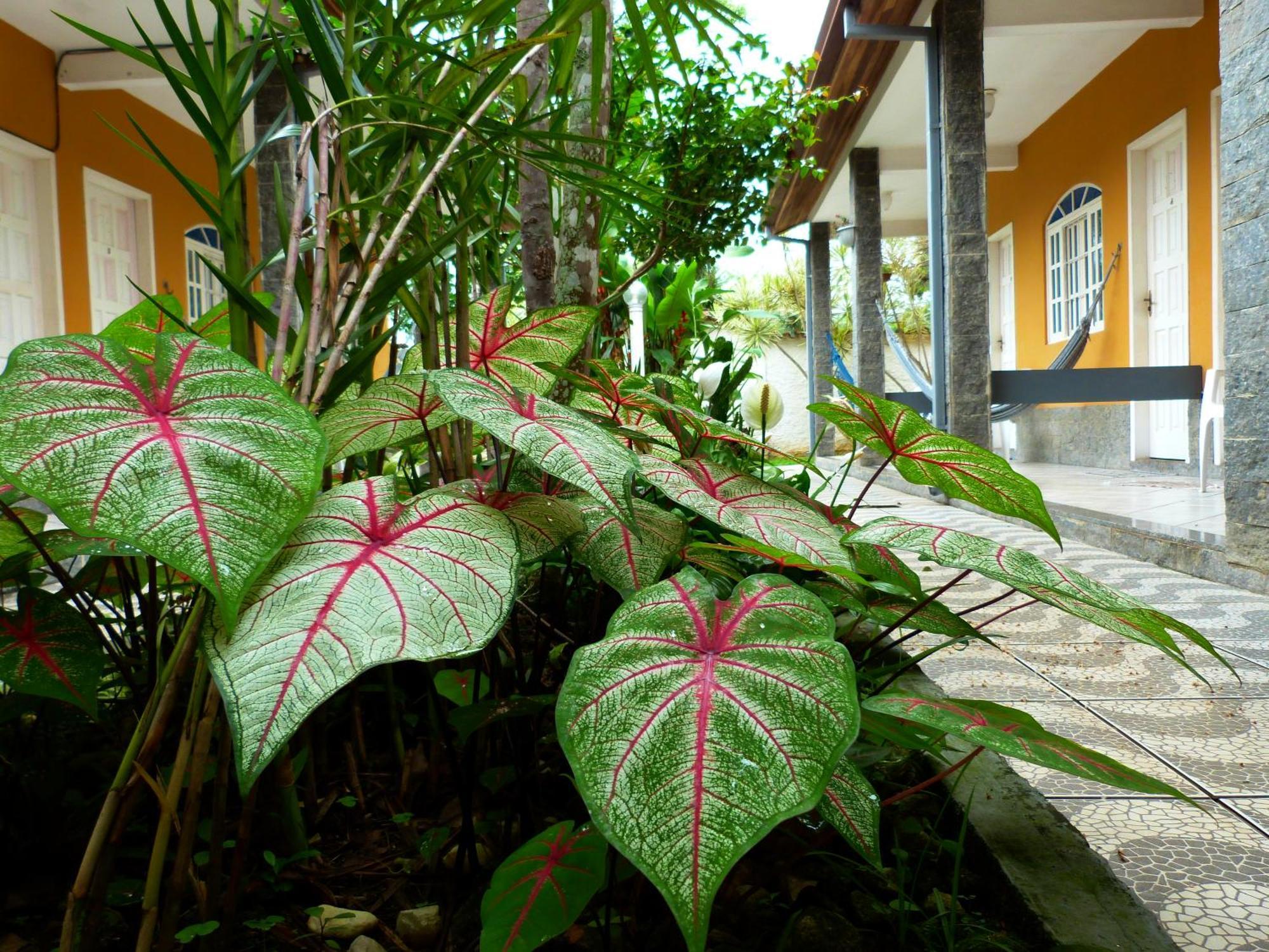 Villa Do Sonho Pousada Hotel Araquari Buitenkant foto